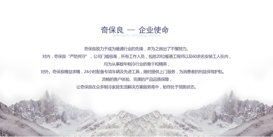 奇保良公司的企业使命